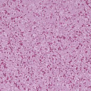 Линолеум Gerflor Mipolam Affinity 4482 Orchid  | FLOORDEALER